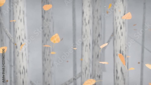 Orange-yellow leaves first appearing, drifting past birch trunks while breeze stirring white specks