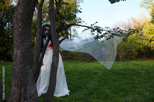 haunted bride standing behind tree trunks in meadow with sheer veil flying on branch, gothic halloween horror