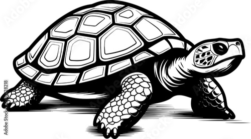Turtle Tattoo Style Black Line Art Illustration Isolated on White