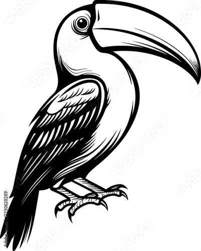 Toucan Black Line Tattoo Style Bird Illustration