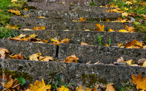 Old mossy stone staircase covered with bright yellow autumn maple leaves in Toila-Oru park, Estonia.