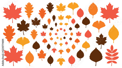 A collection of colorful autumn leaves arranged in a spiral pattern