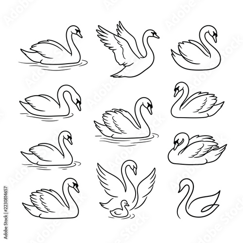Swan logo line art