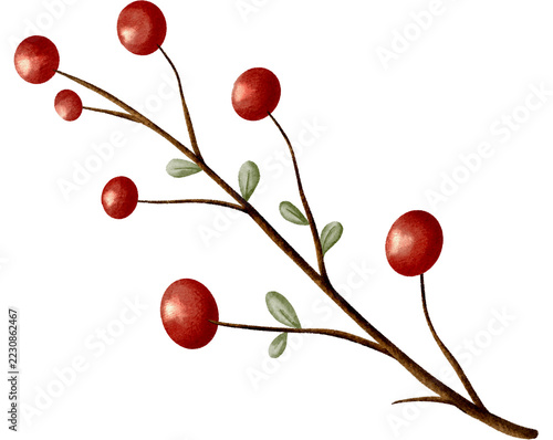 Watercolor Red Berry Sprig with Green Leaves