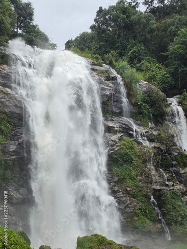 waterfall in the forest