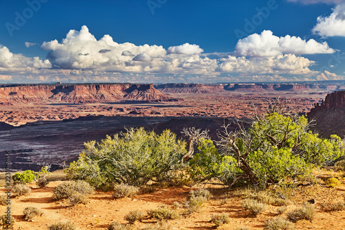 Beautiful view in Canyonlands National Park, Island in the Sky district in Utah, USA