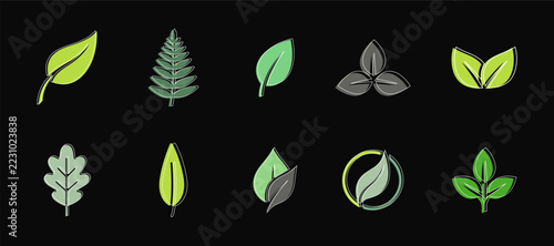 Fotografie Collection of vibrant green and yellow leaves against a dark black background