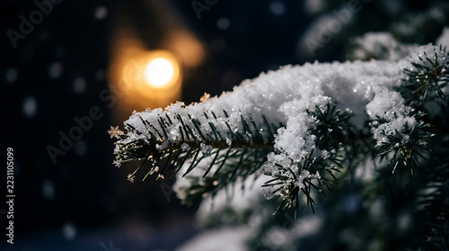 Snow covered pine branch with glowing bokeh light in dark winter night