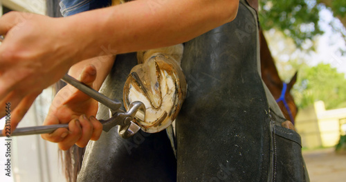 Mid section of young woman removing horseshoes from horse leg