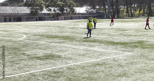 Soccer players in red uniforms celebrating goal on sunny field
