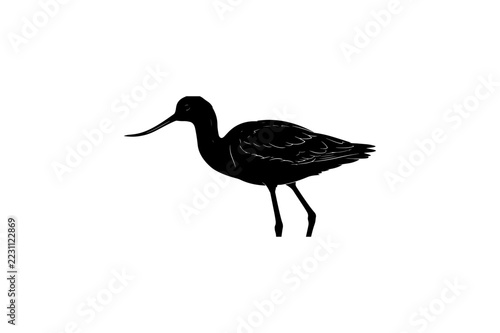 minimalist black silhouette wading shorebird
