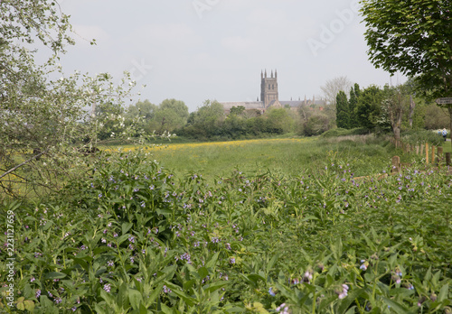 Worcester cathedral viewed from river severn