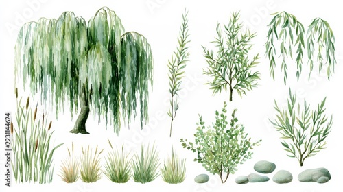 Watercolor botanical study of willow trees, reeds, shrubs, and stones