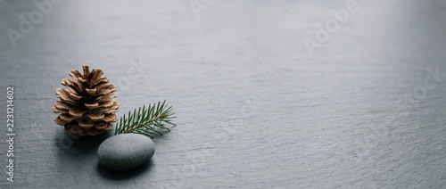 Pine Cone and Green Needle on Dark Slate Surface for Nature Themed Photography