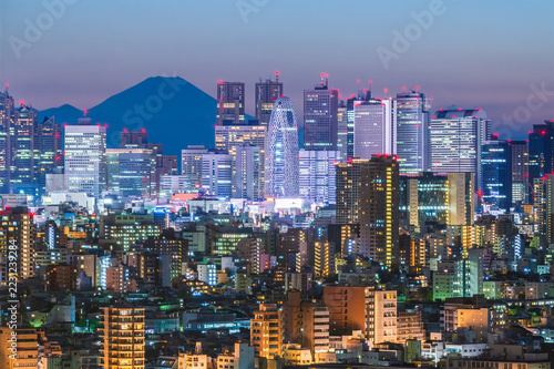Tokyo, Japan Skyline With Mt. Fuji