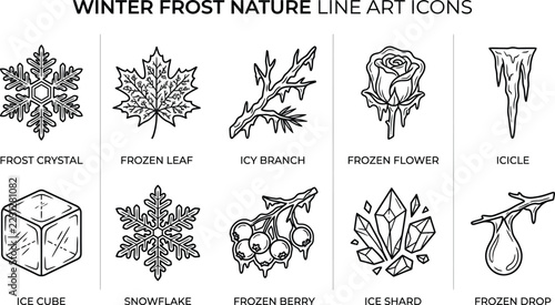 Winter frost nature line art icons set showing snowflakes leaves ice cubes and crystals on transparent background