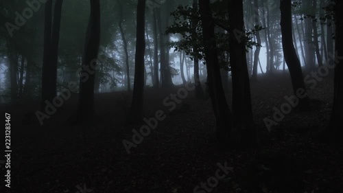 Dark woods shrouded in thick mist. Silent trees stand tall, shadows deep. Fog blankets ground, blurring distant paths. in this eerie scene. Feelings of mystery, fear, isolation