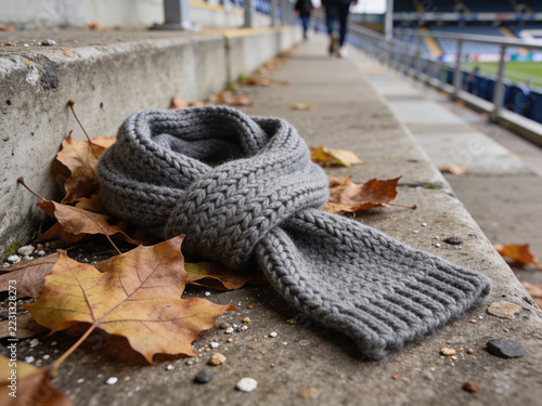 Plain Knitted Supporter Scarf Among Autumn Leaves Near Stadium