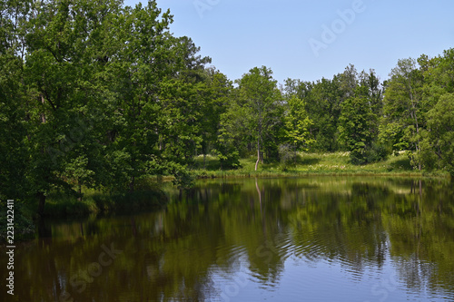 Beautiful summer nature scene with a pond in a park