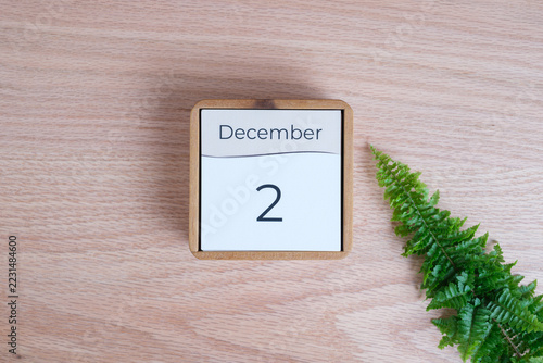 December 2 wooden calendar marking a date beside a fern