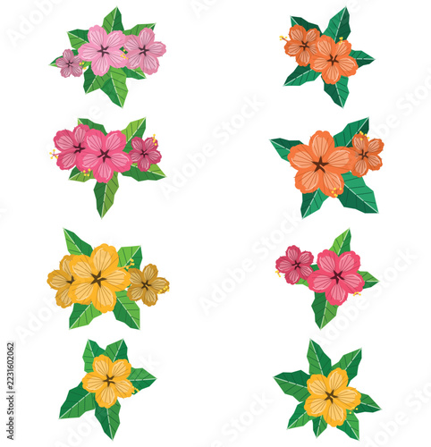 Professional Modern Floral Vector Illustration Set With Colorful Flowers And Leaves