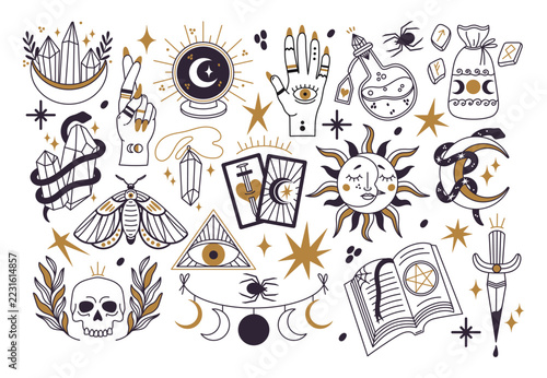 Magical esoteric elements, vector set. Mystic tarot card, boho crystal, snake, skull, moth, spell book. Hand-drawn witchy accessories. Prediction and astrology. Black and white clipart with gold