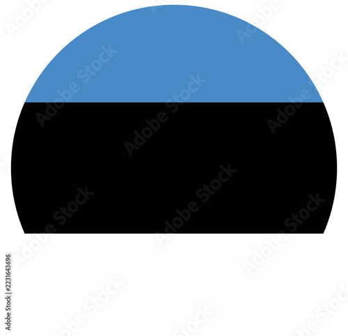 Obraz na plátně Estonia flag button graphic on white background