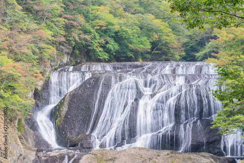 色づき始めた秋の袋田の滝＿茨城県大子町の日本三名瀑