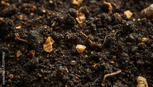 Dark fertile agricultural soil texture with organic matter and small dry plant debris scattered across the uneven ground surface captured in a detailed macro close up top down view