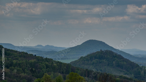 The image depicts a green meadow landscape with a dominant tree (probably an ash or oak) in the foreground and rolling hills in the background under a sky with white cloud