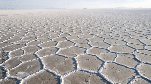 Natural polygon patterns across a dry salt flat