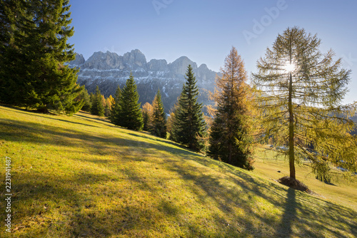 Autumn alpine pasture and Rosengarten mountain