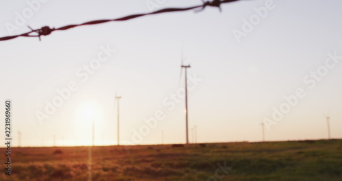 Wind turbines in countryside landscape with cloudless sky at sunset