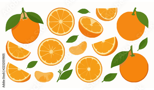 Fresh Orange Fruit Collection Whole Oranges Halves and Citrus Slices Vector Illustration