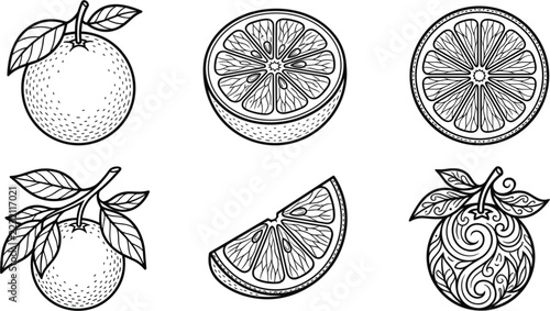 Citrus fruit icon collection, orange slices and whole oranges decorative line art set for food and nutrition design