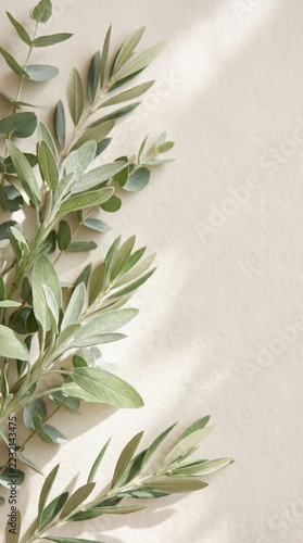 Green Leaf Aesthetic Background, Soft Sage Foliage with Gentle Sunlight and Organic Shadows