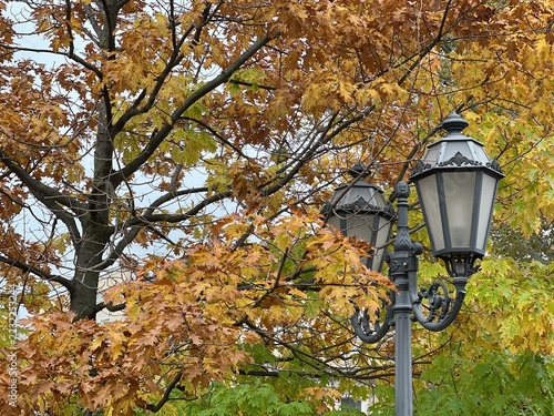 Golden crown and street lamp in the old town