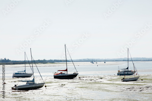 Sailboats Moored on Mudflats at Low Tide Along a Calm Estuary Shoreline