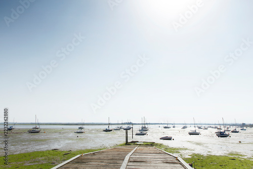 Sailboats at Low Tide in a Sunny Mudflat Harbor With Wooden Ramp Leading to Shore