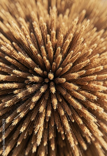 Close up macro view of brown brush bristles creating abstract radial pattern with shallow depth of field