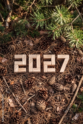 Wooden blocks forming the year 2027 on a forest floor with pine cones