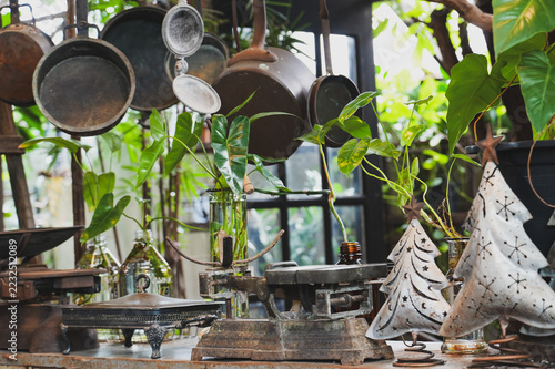 Fotografie Hanging vintage metal pots and pans dangle from a metal rack in a lush, plant-filled rustic outdoor kitchen space