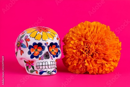 Mexican Sugar Skull Calavera and Orange Cempasuchil Marigold Flower for Dia de Muertos on Pink Background