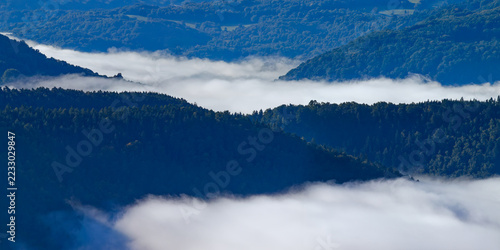 Scenic view of thick temperature inversion fog filling a deep green wooded valley landscape-panorama