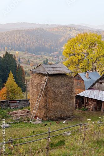 Obraz na plátně Traditional Carpathian hayrick with wooden roof and ladder in autumn mountain village