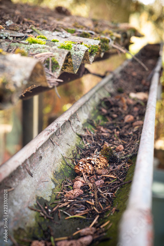 Leaves in eaves. cleaning gutter blocked with autumn leaves. Czechia, Europe.