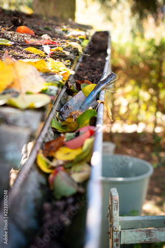 Leaves in eaves. cleaning gutter blocked with autumn leaves. Czechia, Europe.