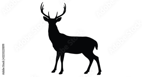 silhouette of a deer