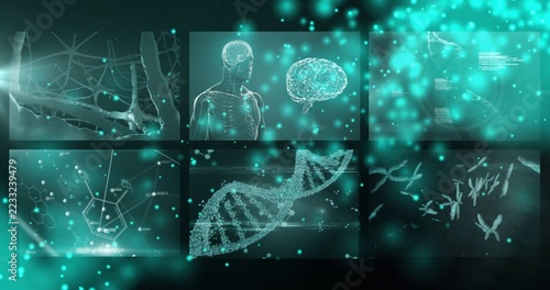 Displaying central DNA point-cloud spiraling in virtual lab, showing translucent torso and brain