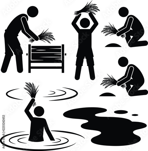 Rice Harvest Pictogram Set Showing Farmer Figures Threshing Grain On Wooden Frame Raising Rice Bundles Kneeling And Wading In Flooded Paddy Water